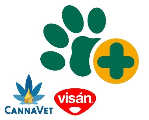 Cannabis sativa - Hanf und seine Einsatzm&ouml;glichkeiten in der Kleintiermedizin - Anja Buchbinder