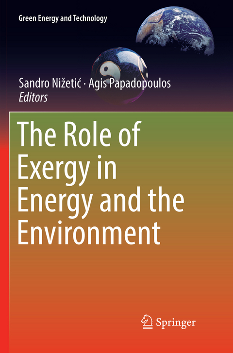 The Role of Exergy in Energy and the Environment - 