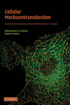 Cellular Mechanotransduction - 