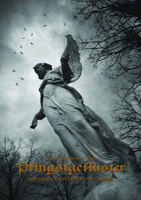 Wave Gotik Treffen 2019: Pfingstgefl&uuml;ster - 