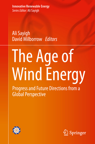 The Age of Wind Energy
