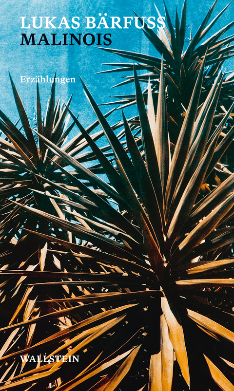 Malinois - Lukas B&auml;rfuss