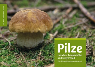 Pilze zwischen Frankenhöhe und Steigerwald