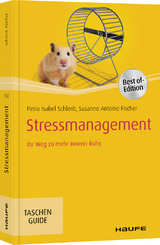 Stressmanagement - Petra Isabel Schlerit, Susanne Antonie Fischer
