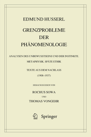 Grenzprobleme der Phänomenologie