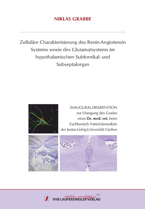 Zellul&auml;re Charakterisierung des Renin-Angiotensin Systems sowie des Glutamatsystems im hypothalamischen Subfornikal- und Subseptalorgan - Niklas Grabbe