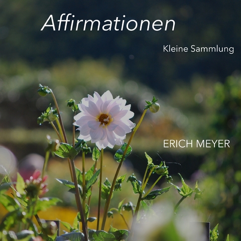 Affirmationen - Kleine Sammlung - Erich Meyer