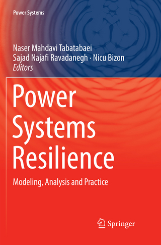 Power Systems Resilience
