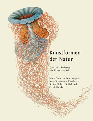 Kunstformen der Natur