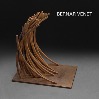 Bernar Venet 