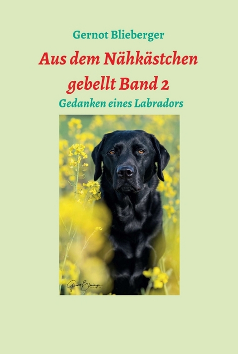 Aus dem N&auml;hk&auml;stchen gebellt Band 2 - Gernot Blieberger