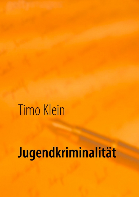 Jugendkriminalit&auml;t - Timo Klein