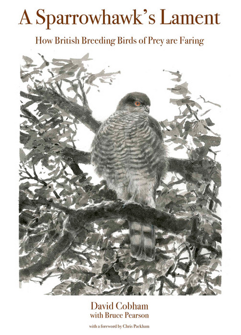 A Sparrowhawk's Lament - David Cobham