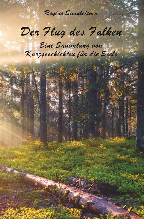 Der Flug des Falken - Regine Sonnleitner