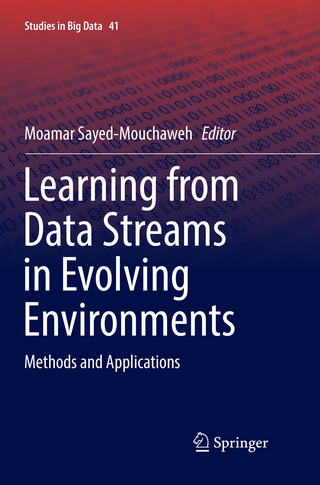 Learning from Data Streams in Evolving Environments