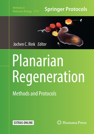 Planarian Regeneration