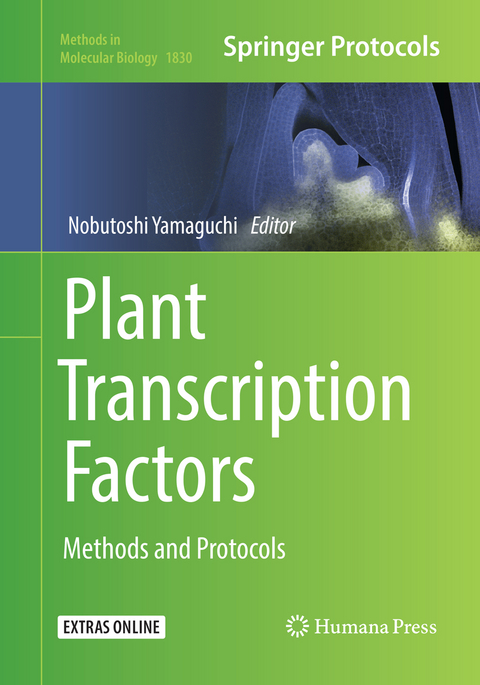 Plant Transcription Factors - 