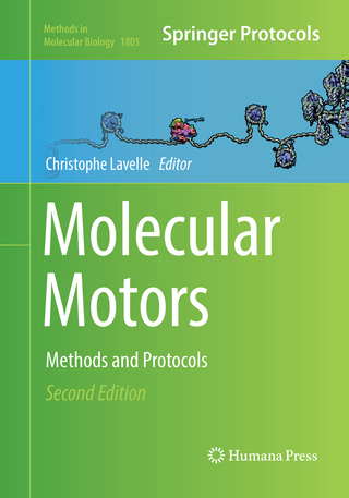 Molecular Motors