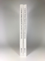 Die Frührömische Holz-Kies-Straße im Eschenloher Moos - 