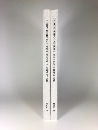 Die Frührömische Holz-Kies-Straße im Eschenloher Moos