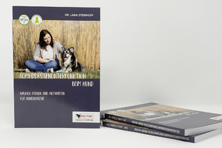 Schilddrüsenunterfunktion beim Hund