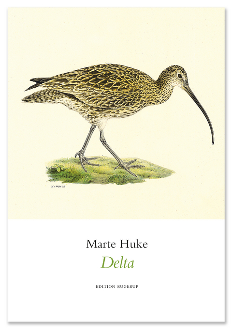 Delta - Marte Huke