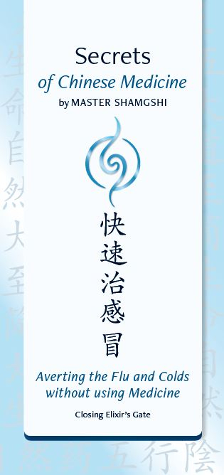 Averting the Flu and Colds without using Medicine - Andrea Thiele, Shangshi Meister