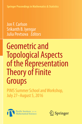 Geometric and Topological Aspects of the Representation Theory of Finite Groups