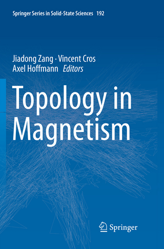 Topology in Magnetism