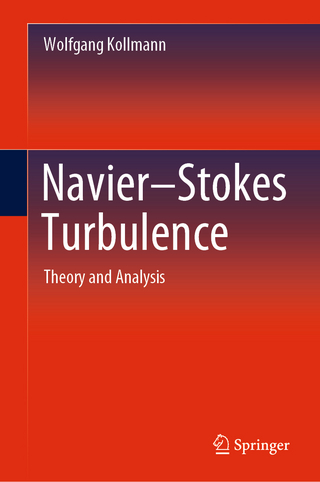 Navier-Stokes Turbulence