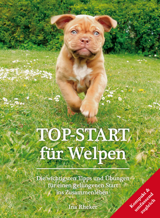 TOP-START für Welpen