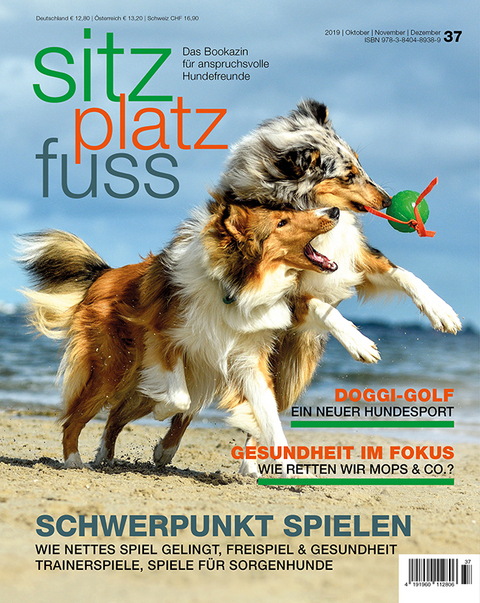 SitzPlatzFuss, Ausgabe 37 - 