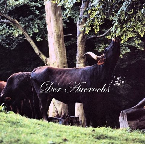 Der Auerochs - Walter Frisch