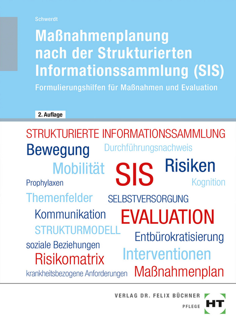 Ma&szlig;nahmenplanung nach der Strukturierten Informationssammlung (SIS) - Christine Schwerdt