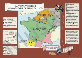 Lektüre-Postersets / Lektüre-Posterset bello Gallico