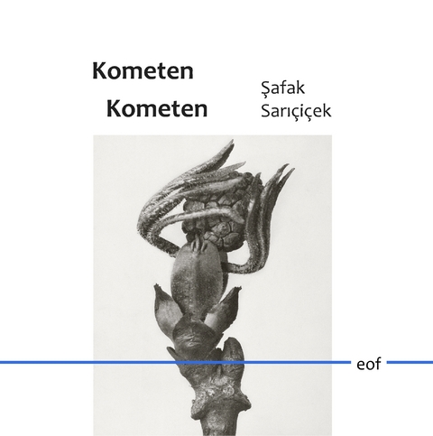 Kometen Kometen - Safak Saricicek