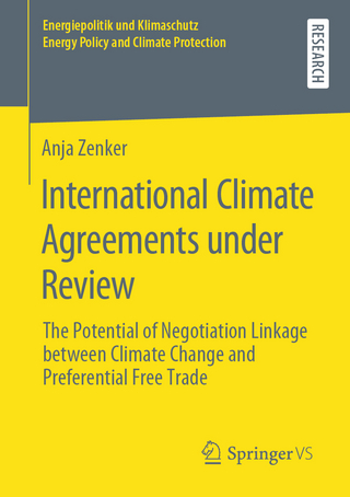 International Climate Agreements under Review