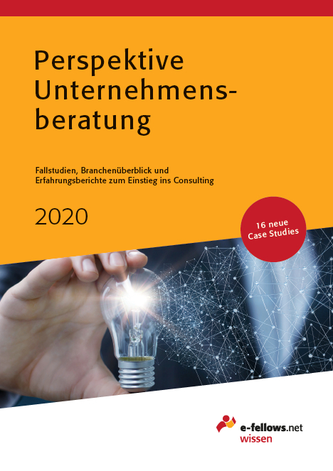 Perspektive Unternehmensberatung 2020 - 