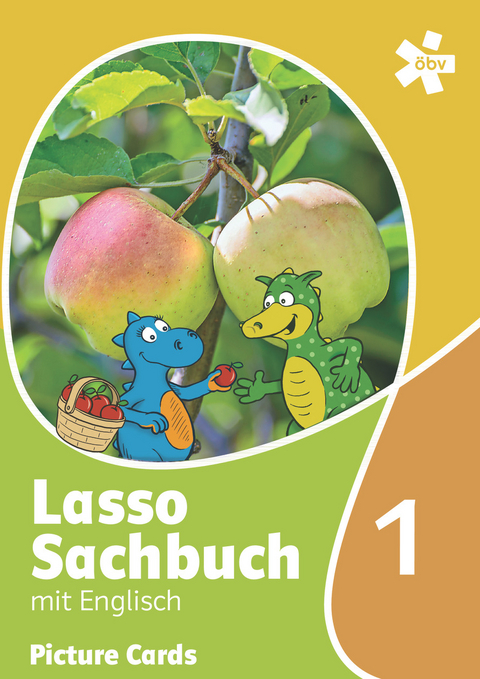 Lasso Sachbuch mit Englisch 1. F&uuml;r den integrativen Englischunterricht, Picture Cards - Kerstin Schmidt-H&ouml;nig, Natanya Tinnefeld