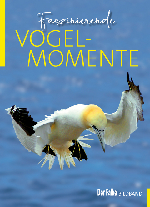 Faszinierende Vogelmomente