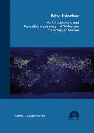 Verkehrslenkung und Kapazitätsanpassung in ATM-Netzen mit virtuellen Pfaden