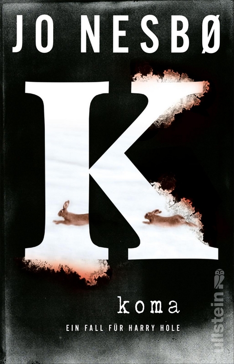 Koma (Ein Harry-Hole-Krimi 10) - Jo Nesbø