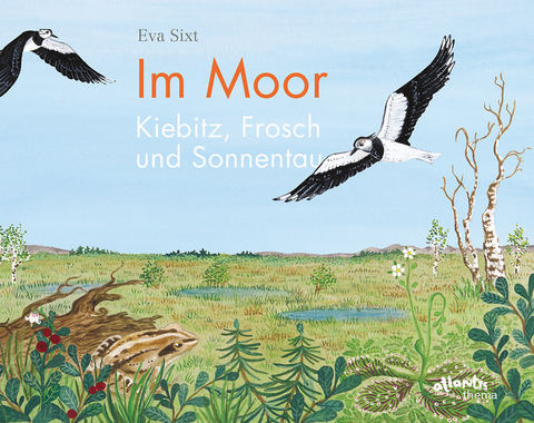 Im Moor &ndash; Kiebitz, Frosch und Sonnentau - Eva Sixt