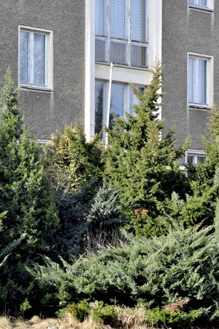 nach 1990 – Fokus Fahnenmast