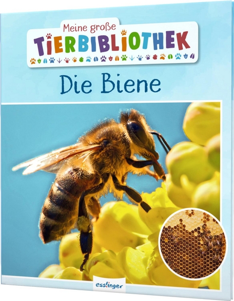 Meine gro&szlig;e Tierbibliothek: Die Biene - Paul Starosta