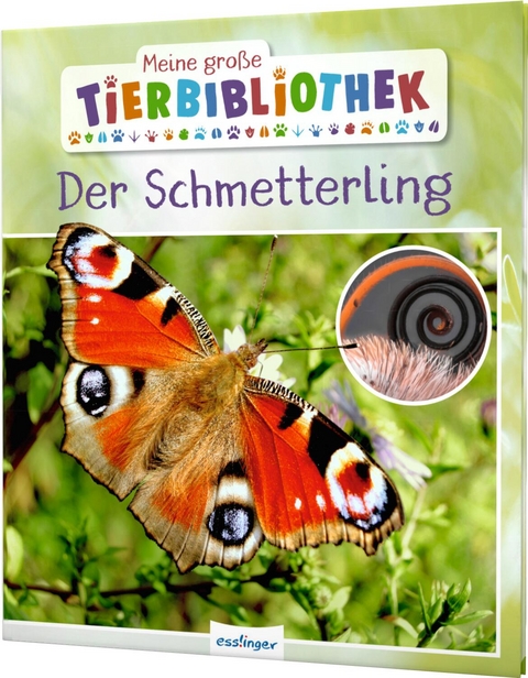 Meine gro&szlig;e Tierbibliothek: Der Schmetterling - Val&eacute;rie Tracqui