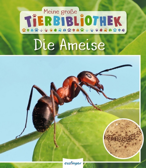 Meine gro&szlig;e Tierbibliothek: Die Ameise - Axel Gutjahr
