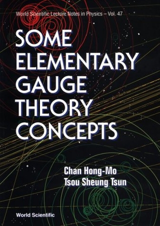 Some Elementary Gauge Theory Concepts