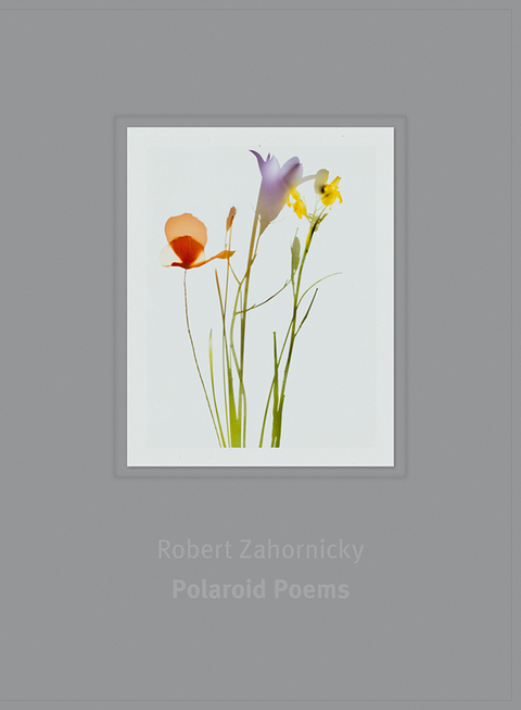 Polaroid Poems - Robert Zahornicky