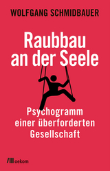 Raubbau an der Seele - Wolfgang Schmidbauer